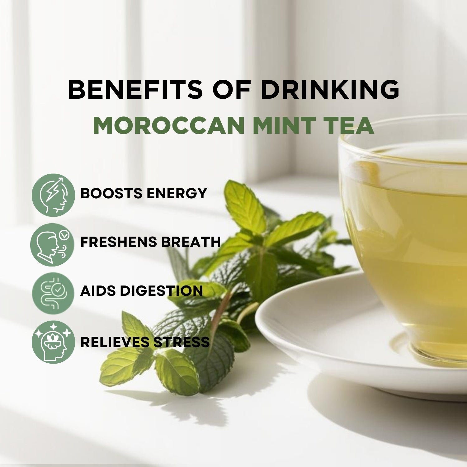 Moroccan Mint Green Tea | 35gm