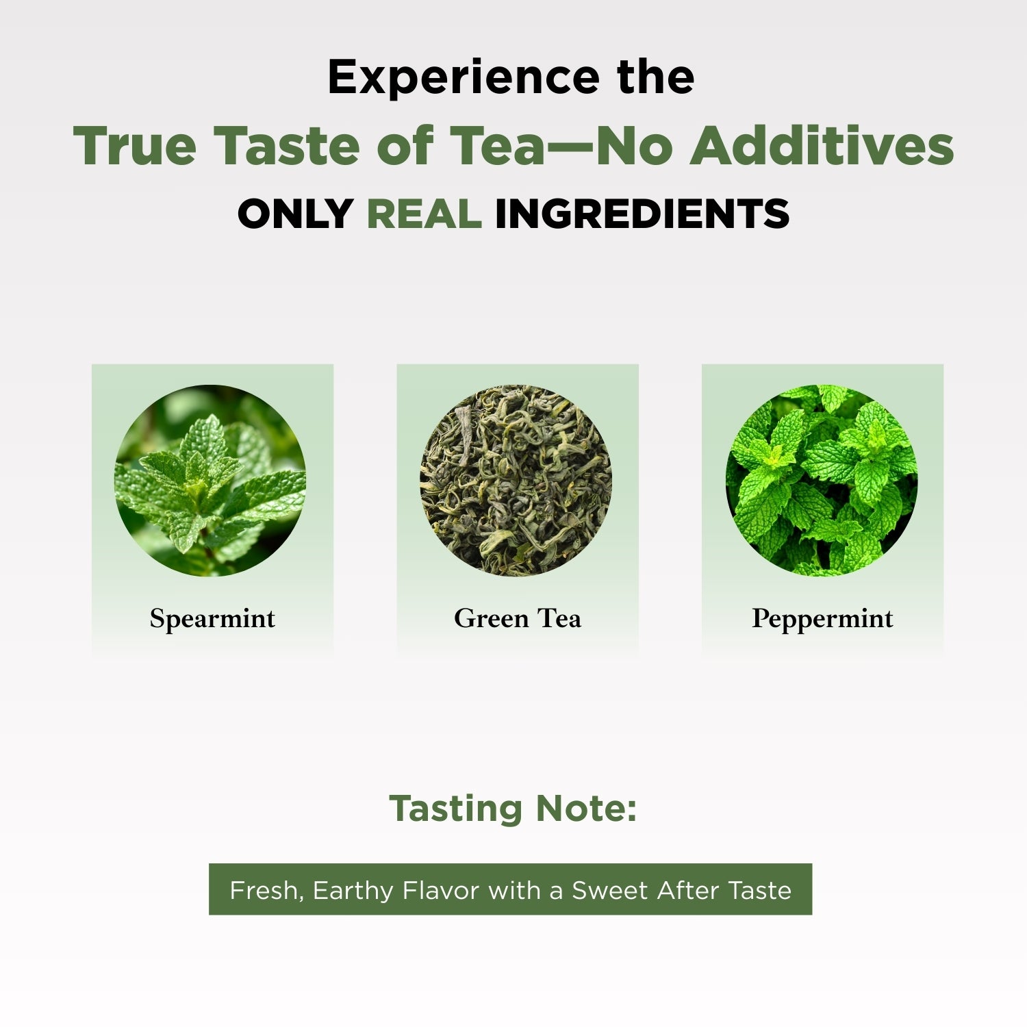 Moroccan Mint Green Tea | 35gm