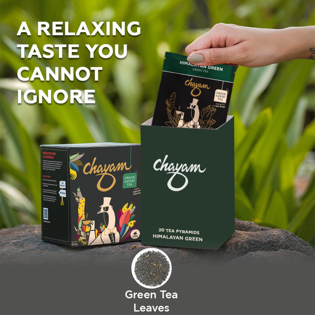Himalayan Green Tea | Tea Bags