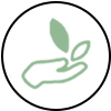 Organic Ingredients
