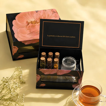 Steep Studio Box: 6 Assorted Tea Tubes with Glass Infusion Mug