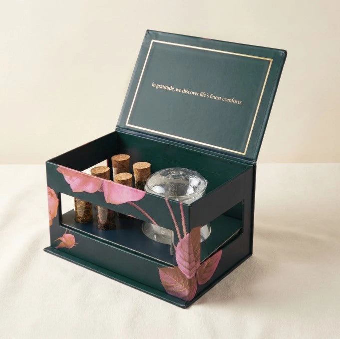 Steep Studio Box: 6 Assorted Tea Tubes with Glass Infusion Mug