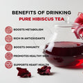 Pure Hibiscus Herbal Tea Tisane | 30g