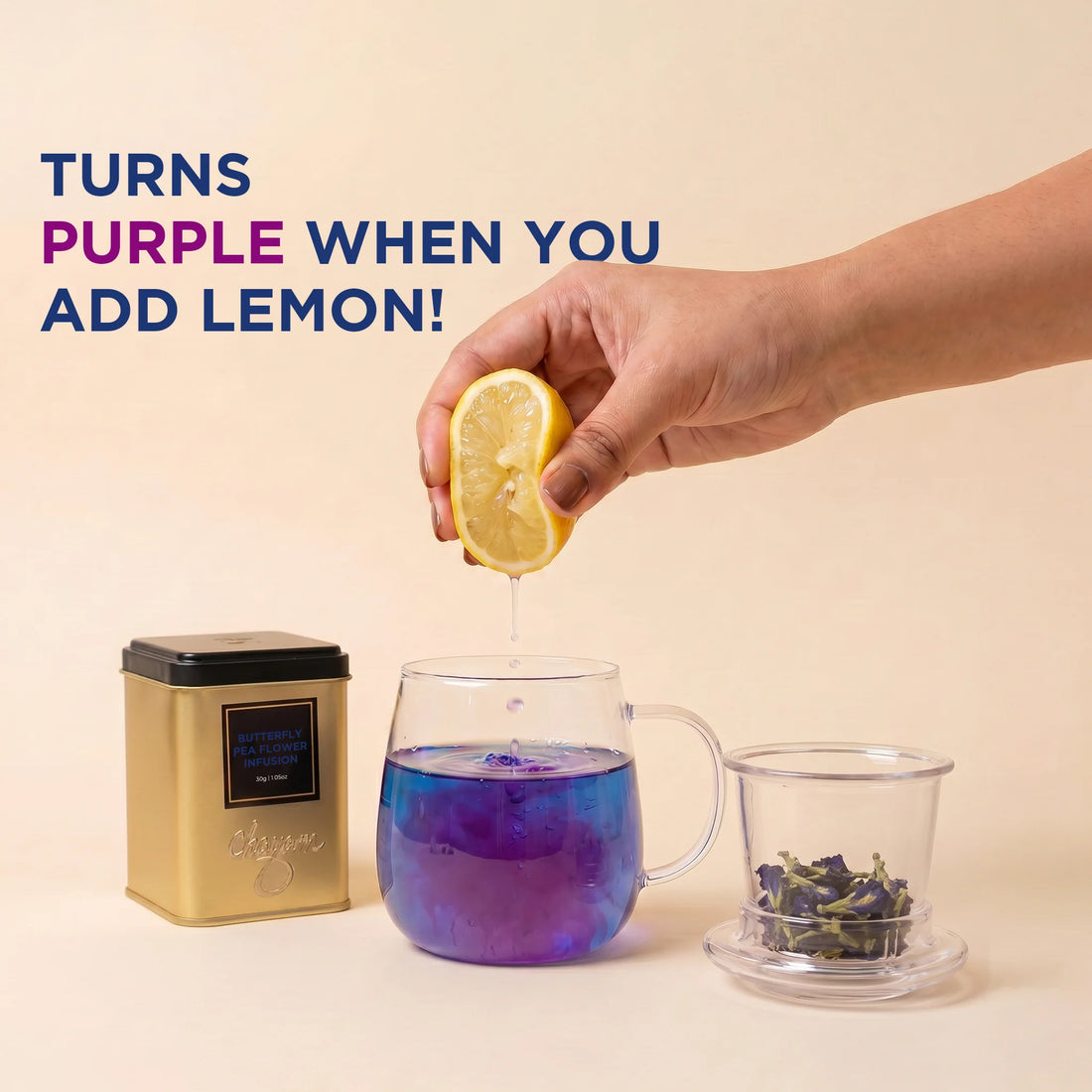 NECTAR Tea Set: Butterfly Pea Infusion with Glass Infusion Mug