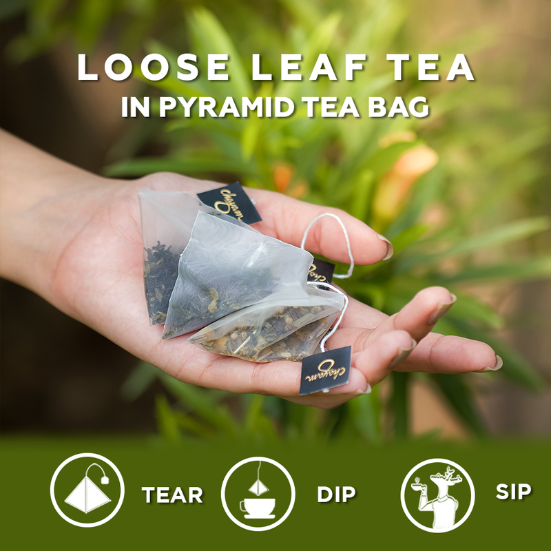 Chayam Tulsi Green loose leaf Tea Bags with Ginger Licorice Moringa